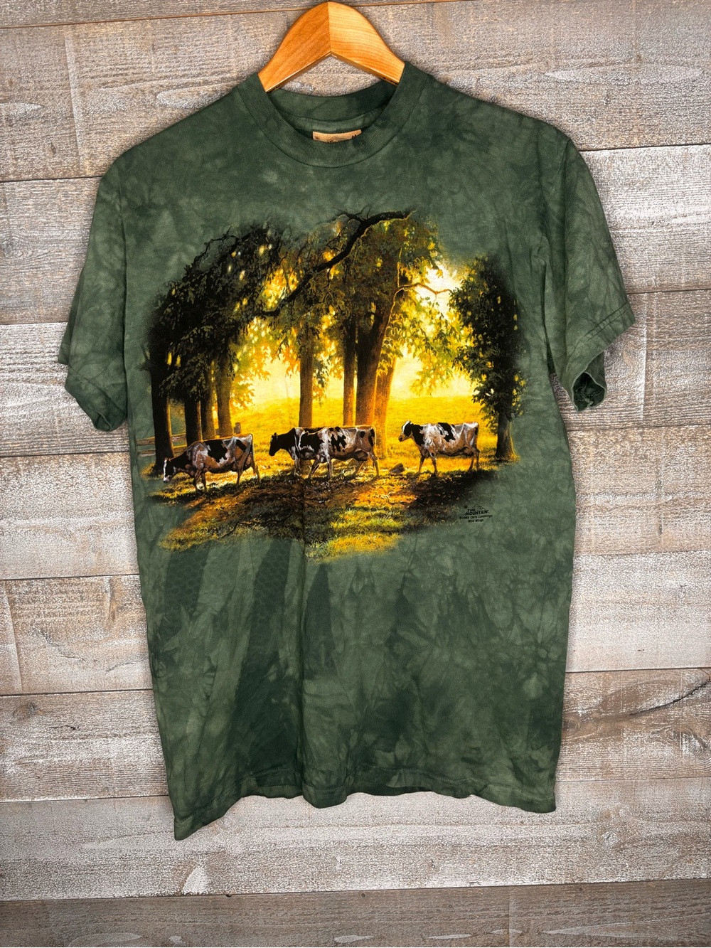 The Mountain vintage 1999 Chris Cummings wild wings cow sunset t shirt leather